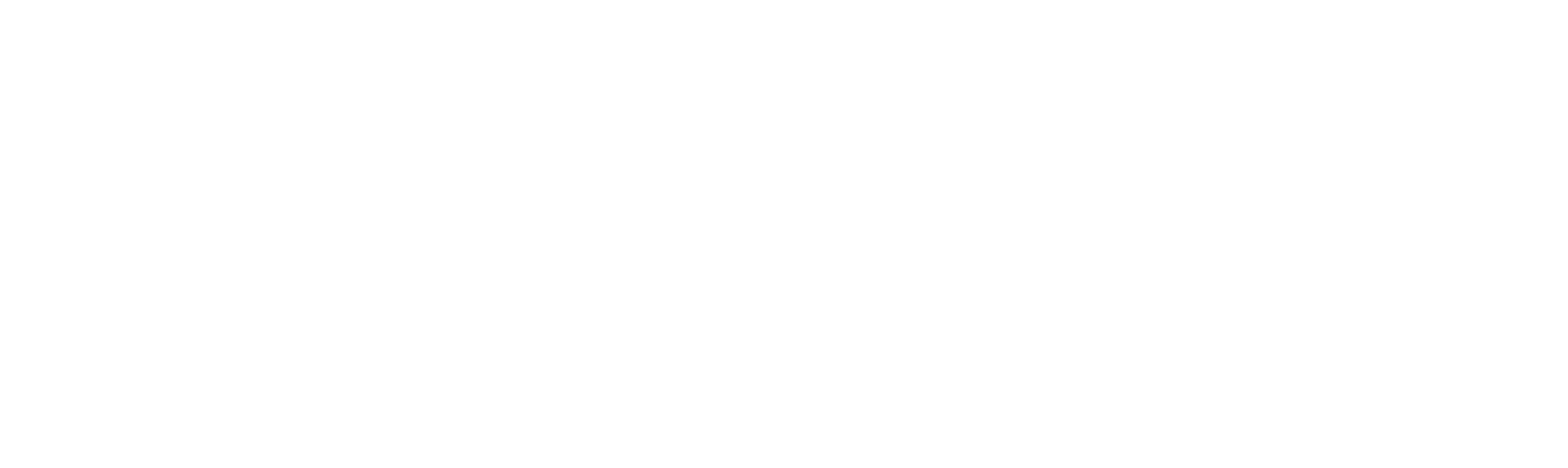 Docu-Coach™ horizontal logo, reversed
